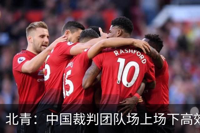 北青：中国裁判团队场上场下高效协作，配得上更多世界杯执法场次